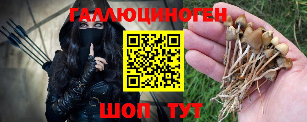 Псилоцибиновые грибы мухоморы Амурск